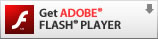 Get the latest Adobe Flash Player